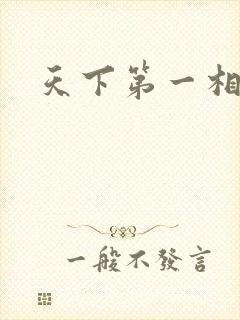 天下第一相书封面