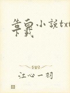 告白小说txt下载