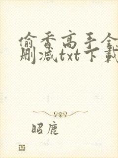 偷香高手全文无删减txt下载