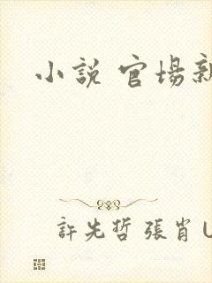 小说 官场新贵