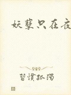 妖孽只在夜里哭封面