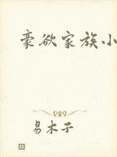 豪欲家族小说
