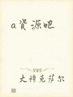 a资源吧