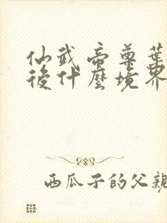 仙武帝尊叶辰最后什么境界