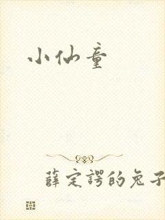 小仙童封面