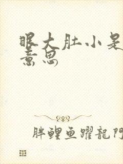 眼大肚小是什么意思