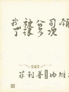 我被公司领导C了很多次封面