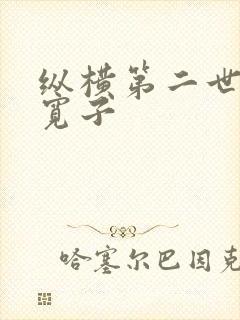 纵横第二世界 宽子