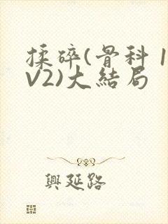 揉碎(骨科 1V2)大结局