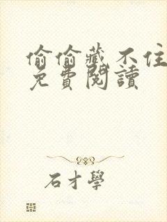 偷偷藏不住小说免费阅读封面