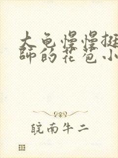 大龟慢慢挺进老师的花苞小说封面