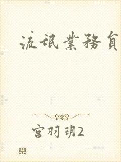 流氓业务员封面