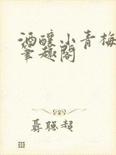 酒酿小青梅po笔趣阁