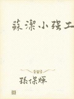 苏洁小强工地情