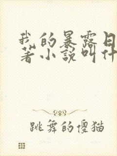 我的暴露日记原著小说叫什么