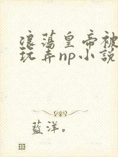 浪荡皇帝被多人玩弄np小说封面