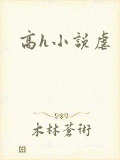 高h小说虐