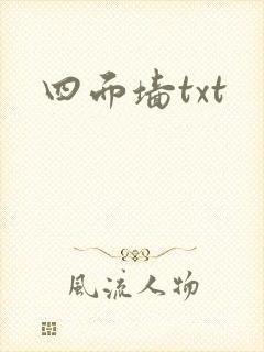 四面墙txt封面