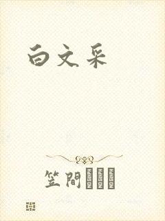 白文采