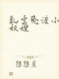 乱云飞渡小说之姣嫂