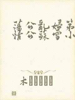 荡公乱妇第1章情公苏雪小说