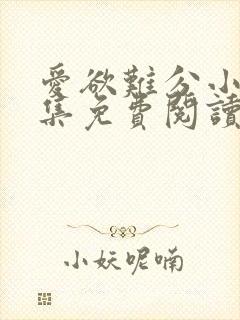 爱欲难分小说全集免费阅读封面