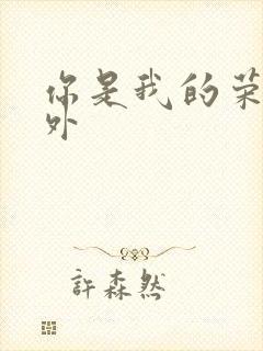 你是我的荣耀番外