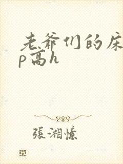 老爷们的床奴np高h