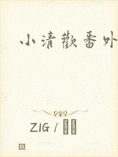 小清欢番外封面