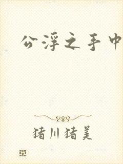 公浮之手中字5