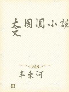 大团圆小说集全文