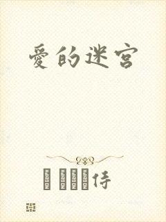 爱的迷宫