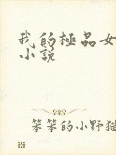 我的极品女老师小说