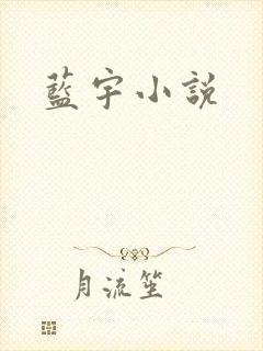蓝宇小说封面