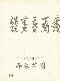 谋定天下唐诚小说免费阅读