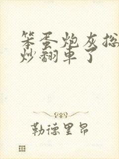 笨蛋炮灰总被爆炒翻车了