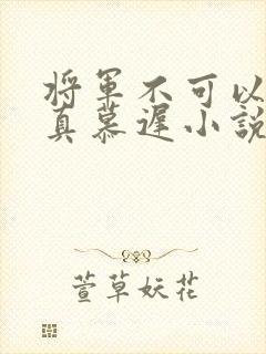 将军不可以魏云真慕迟小说笔趣阁