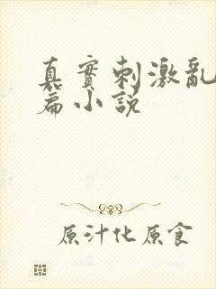 真实刺激乱13篇小说封面