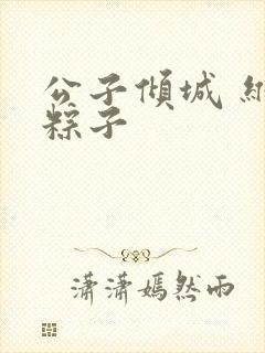 公子倾城 维和粽子