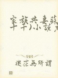 家族共妻苏苏(十千)小说免费