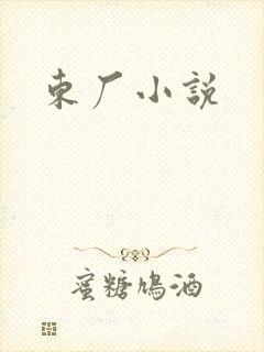 东厂小说