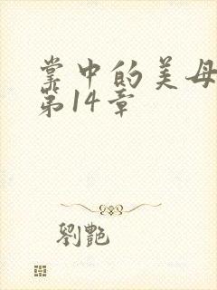 掌中的美母版主第14章