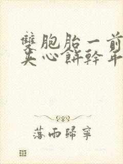 双胞胎一前一后夹心饼干年下