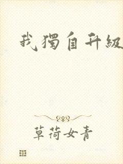 我独自升级小说