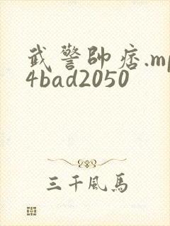 武警帅痞.mp4bad2050封面