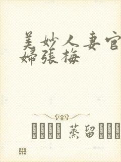 美妙人妻官场少妇张梅封面