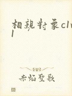 相亲对象c1v1
