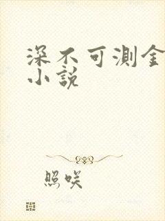 深不可测金银花小说