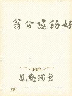 翁公您的好长呀封面