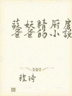 苏妖精厨房爹爹爸爸的小说